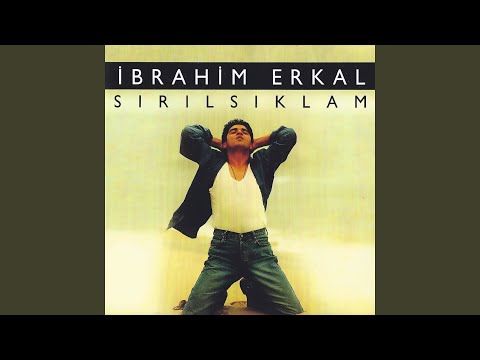 İbrahim Erkal - Sen Aldırma cover