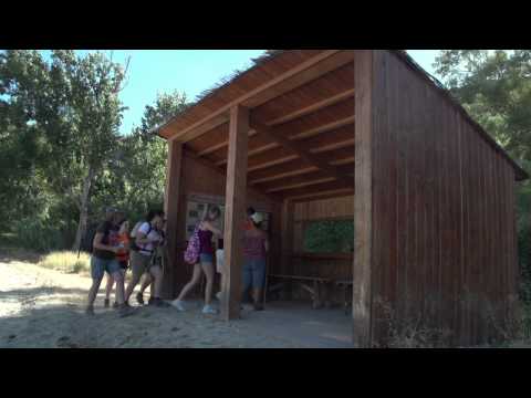 Bird Observatory in the Genil River in Cuevas Bajas