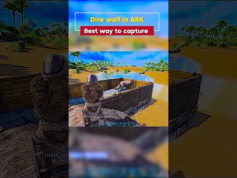 “How to Tame a Direwolf FAST! 🐺🔥 | ARK Survival Evolved”#shorts #ark #arksurvivalevolved