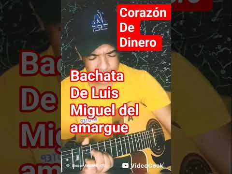 corazón de dinero bachata de Luis Miguel del amargue cover