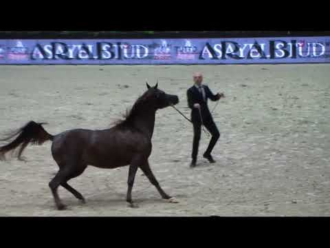 Memories of Paris 2018 - World Championships - Part 17 - Championship - Junior Male