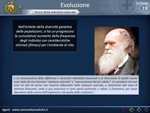 Evoluzione (parte 1)