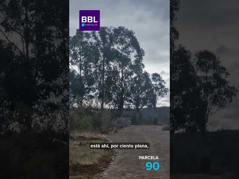 🏡 Parcela N°90 | Hacienda Cauquenes 🌿 A menos de 1 hora de la playa | Rol Propio