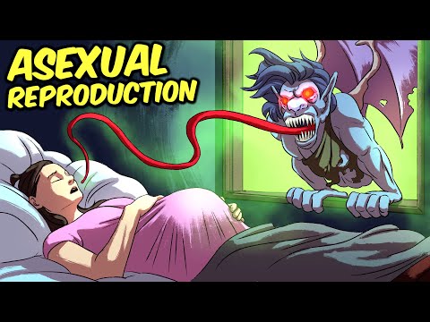 The Most Cursed SCP Stories Ever Told (Compilation)