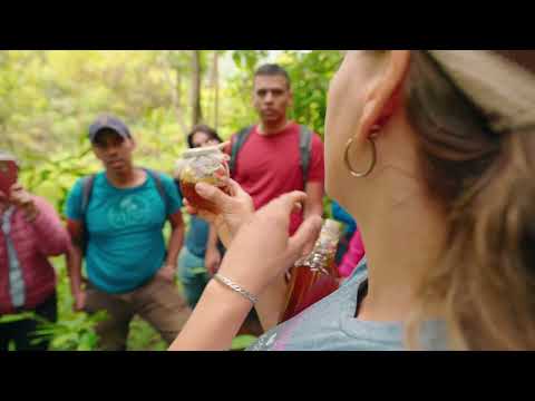 FARMTRIP, Pradera Valle