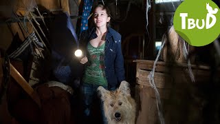 Vampire (Folge 26) | Tiere bis unters Dach | SWR Plus
