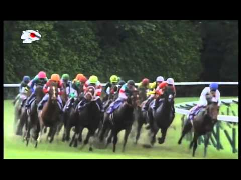 2014 Yasuda Kinen G1