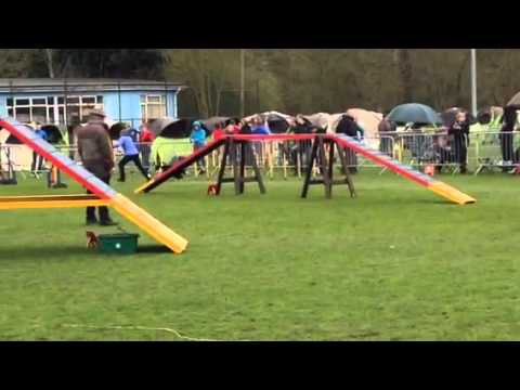 Nancy & Jenthe AP Bonheiden 11/4/2015