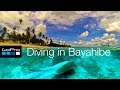 Diving Spot - Dominican Republic, Bayahibe, Bayahibe, Dominikanische Republik, Isla saona, Rochen