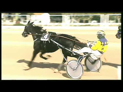 Trotto 30/10/2020 - 2ª corsa