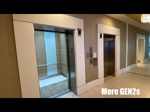 OTIS Gen2 MRL Traction Elevators @ Club Wyndham - Clearwater Beach, FL