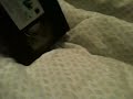VHS Suprise Video 180 12 6 17