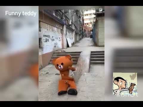 top lovely little bear everyday TRY NOT LAUGH funny pranks compilation -2021#funny #bear #cute#prank