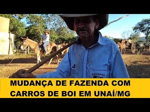 Carreiro de Unaí faz MUDANÇA COMPLETA com carros de boi — UMA TRADIÇÃO DE ARREPIAR!