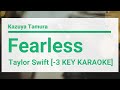 Taylor Swift - Fearless (Lower Key Karaoke)