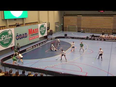 190329 Lillån – ST Västerås (JAS Play off 1)