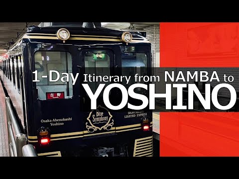 Yoshino 1-day Itinerary │ Blue Symphony - Limited Express Sightseeing Train
