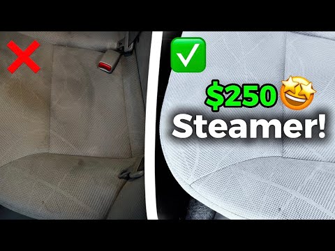 BEST Steam Cleaner for Cars - Under $250 (Dupray Neat Plus)