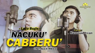 Download lagu NACUKU CABBERU - CIPT. ALEX MASSI COVER HAMMAD IRVAN mp3