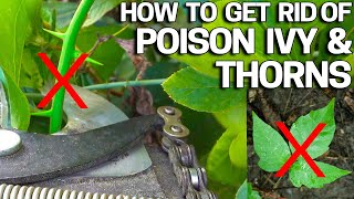 How to Get Rid of POISON IVY &amp; THORNS without Chemicals