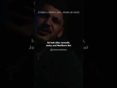 RISSE IM HERZ 💔 Zymba & Terry Joe - Risse im Herz | Musik Zitate Deutsch | nieverstehen