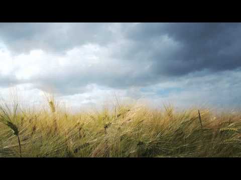ZiRENZ VS Ben Alonzi & Adriz - Take Me To Heaven (Mindful Innovations Remix)