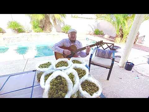 Josh Heinrichs “Lifted” acoustic 2022