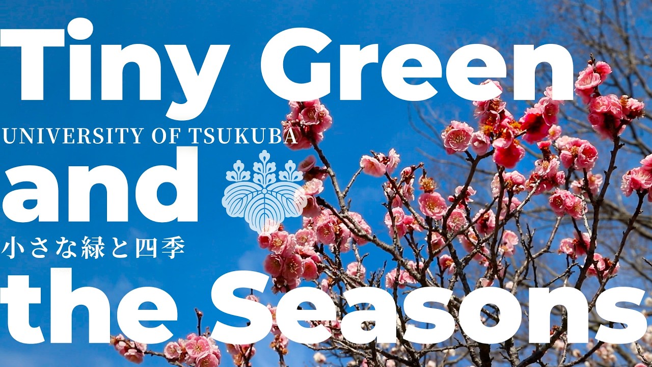 Tiny Green and the Seasons #4: University of Tsukuba｜筑波大学