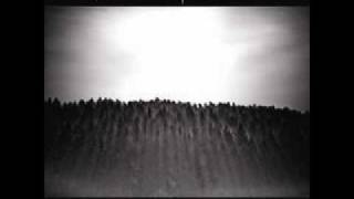 Let Me Introduce You To The End - Burn Like The Sun