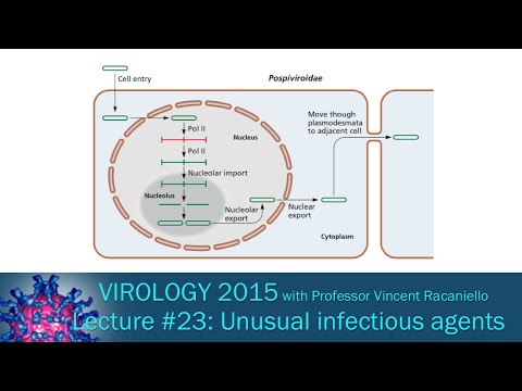 Virology 2015 Lecture #23: Unusual infectious agents