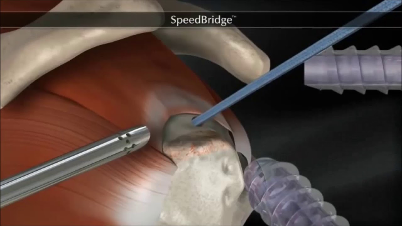 Fernando Prudente Gonçalves-7