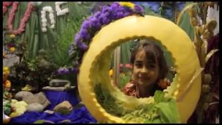 Конкурс садоводов и огородников