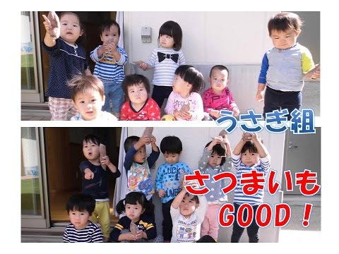 八幡保育園(福井市）うさぎ組(1歳児）がサツマイモ堀にチャレンジ！型抜きあそびも楽しいね！2016年10月