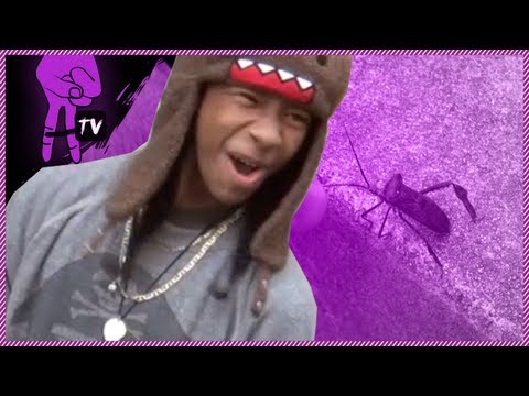Mindless Takeover - Mindless Behavior Live Action Bug Battle - Mindless Takeover Ep. 37