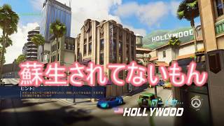 蘇生にまつわるエトセトラ【overwatch】