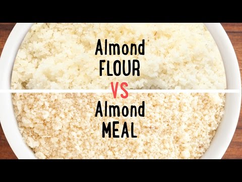 download lagu mp3 mp4 Can I Use Almond Meal Instead Of Almond Flour, download lagu Can I Use Almond Meal Instead Of Almond Flour gratis, unduh video klip Can I Use Almond Meal Instead Of Almond Flour