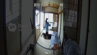 【衝撃の結果】ダイエット中の縄びジャンプでまさかの床抜け😂 🏠💥#ダイエット失敗 #まさかの展開 #縄跳びダイエット