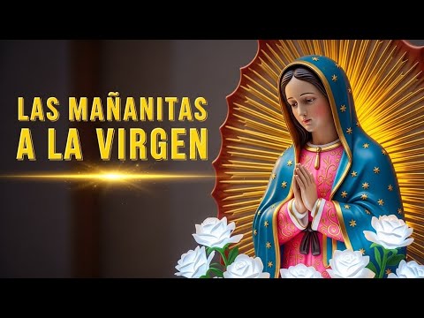 Las Mañanitas a la Virgen de Guadalupe 2025 (Con Mariachi) 🎂🇲🇽