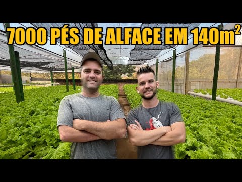 , title : 'EM PEQUENO ESPAÇO ELELES PRODUZEM MUITO - @hortadobizzi'