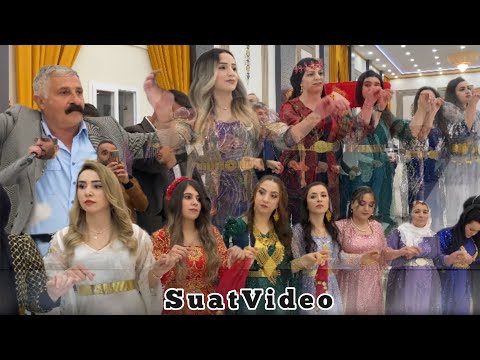 Rugeş bazi slopi mamxuran aşiret düğünü ) ©️ 2024 SuatVideo