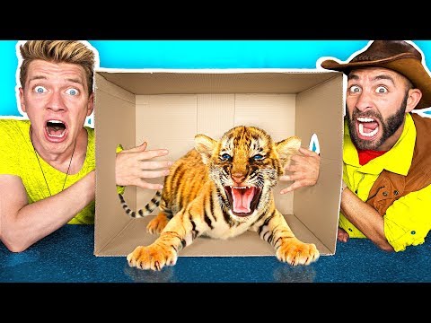 What’s in the BOX Challenge!! **LIVE ANIMALS** Gross Giant Slime Orbeez & Real Food vs. Gummy Food