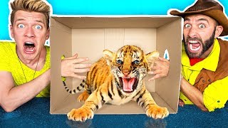 What’s in the BOX Challenge!! **LIVE ANIMALS** Gross Giant Slime Orbeez &amp; Real Food vs. Gummy Food