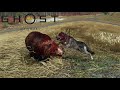 GHOST OF YOTEI ALL ANIMAL FIGHTS