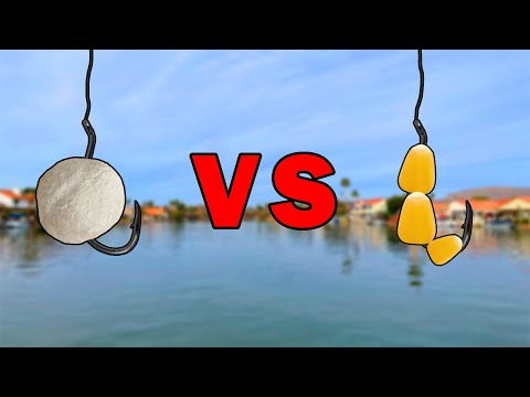 BREAD VS CORN - What Bait Catches More Fish?