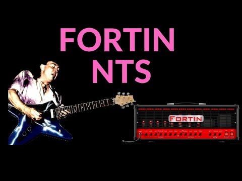 Fortin NTS Plugin - More Than Meets the Eye?