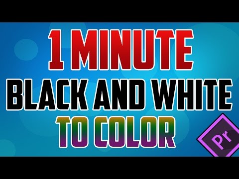 Premiere Pro Podcast Voice Tutorial