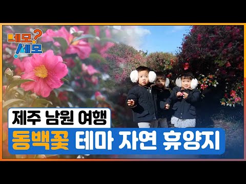 [네모세모] 자연을 담았다 ‘제주 남원 여행’