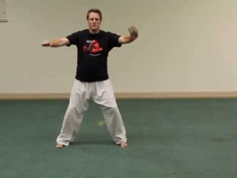 Tracy Kenpo: Short Form 2