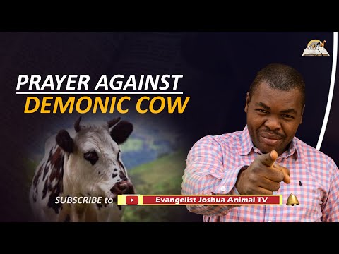 Prayer Against Demonic Cows - Dream Symbolism and Meaning