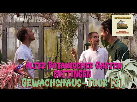 Die geheime Bromelien & Kakteensammlung im alten botanischen Garten Göttingen | Gewächshaus Tour [3]